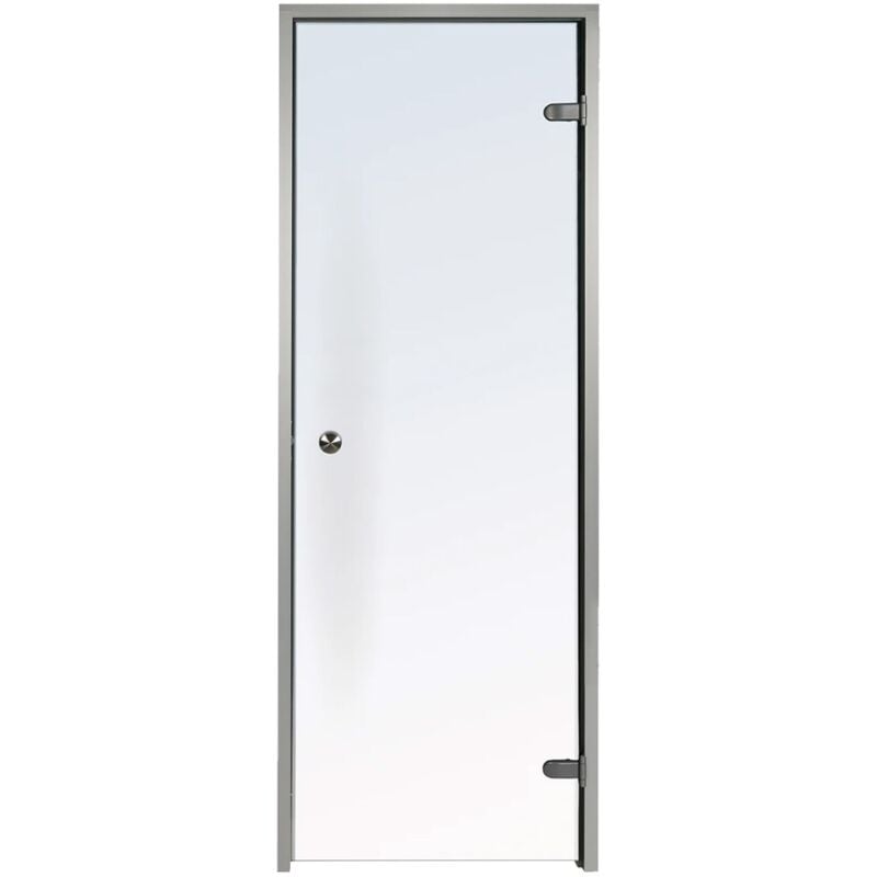 Desineo - Porte pour Hammam transparente 70 x 190 cm cadre en aluminium
