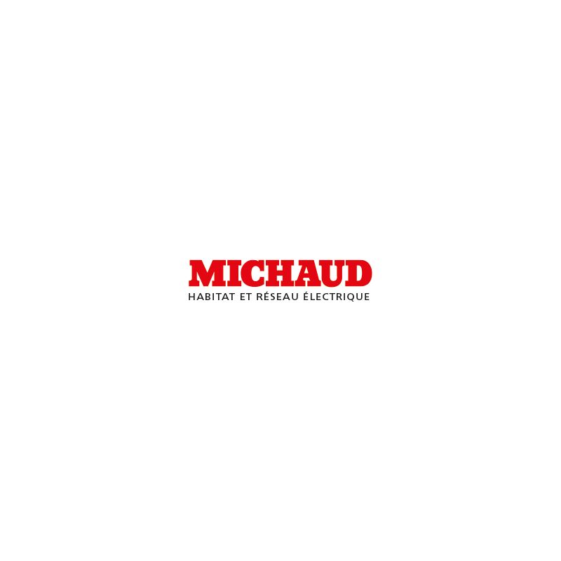 Michaud - Porte transparente de tableau de répart. 2 rangées Q321