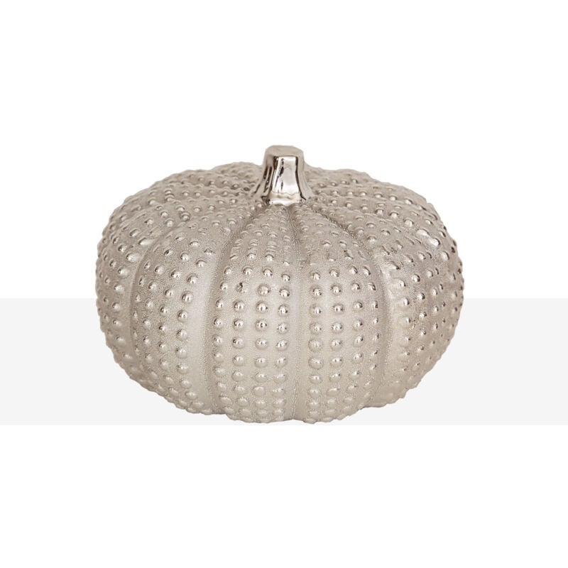 Citrouille de porc. Champagne