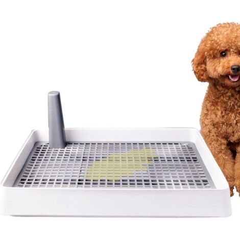 Porte-Tampon Pipi pour Chiot - Toilette d'intérieur pour