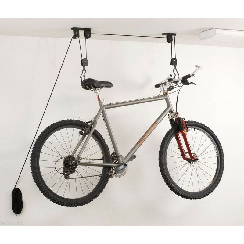 Le Poisson Qui Jardine - Porte-Vélos - Support de Rangement au Plafond - Capacité max : 20kg