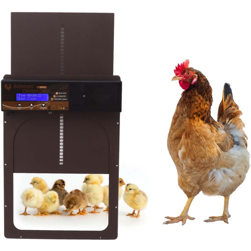 Portes de poulet automatiques, détection de lumière, télécommande, poulailler en aluminium à énergie solaire pour maison et ferme marron
