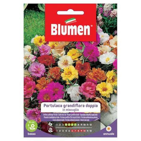 Portulaca Grandiflora Doppelsamen im Umschlag