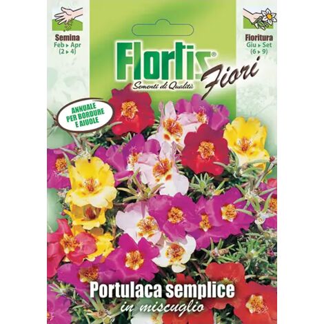 PORTULACA SEMPLICE MIX
