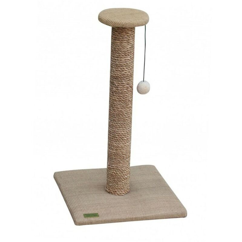 poste Cat | chat tendance scratcher harmonie naturelle