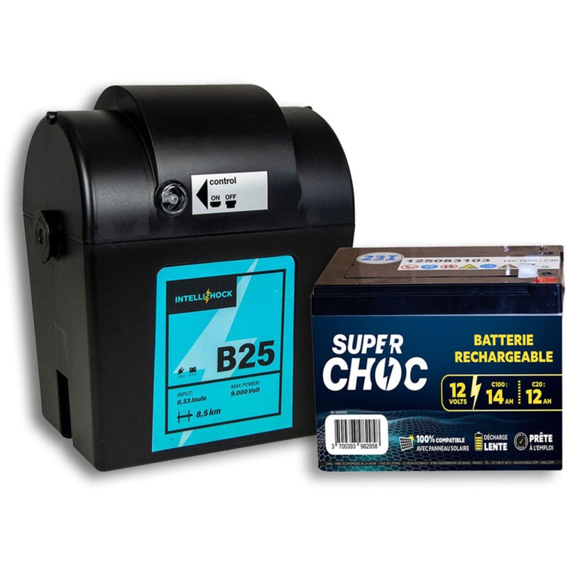 Poste de clôture B25 et batterie 12 v 14 Ah