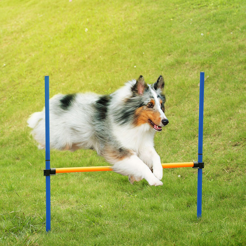 

Poste de entrenamiento para perros, poste de entrenamiento