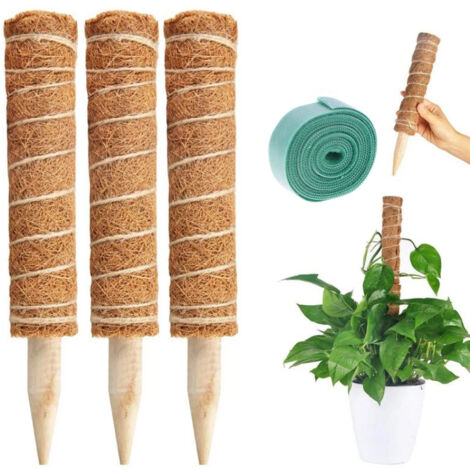 Poste de musgo de 3 piezas para plantas trepadoras, soporte de extensión, soportes para palmeras y enredaderas, balcón interior, decoración de jardín de 40 cm