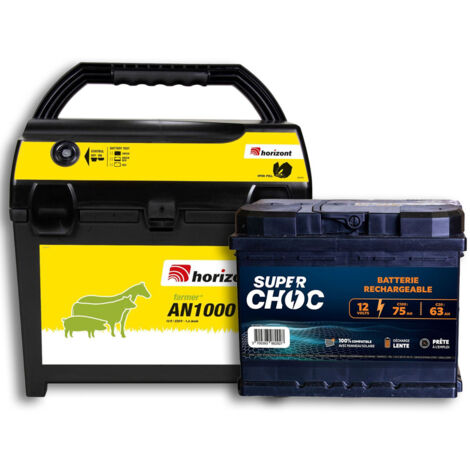 Poste mixte AN1000 et batterie 12 V 75 Ah