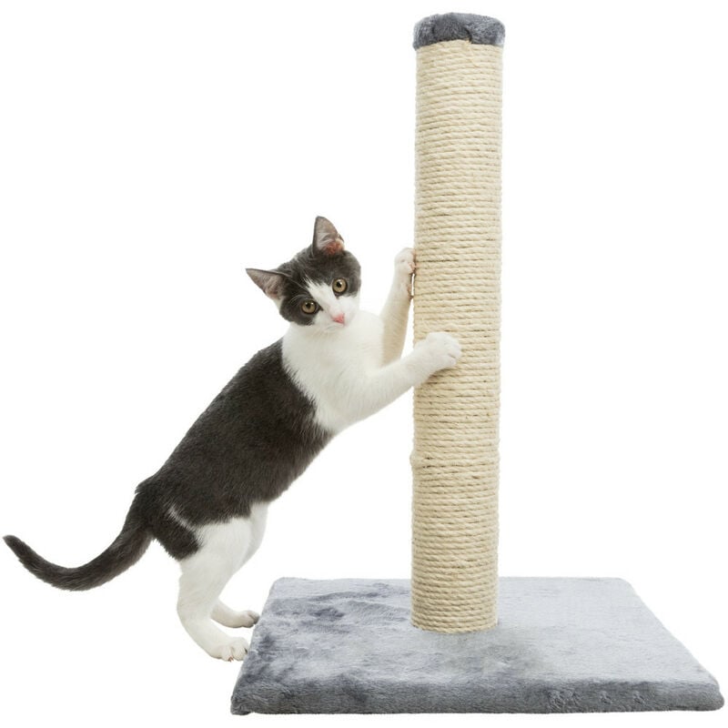 

Poste rascador Parla, 62 cm de altura para gatos
