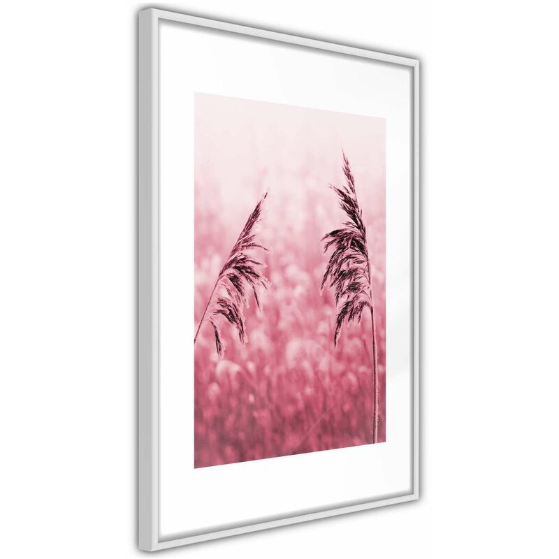 

Rtgs - Póster - Amaranth Meadow Medidas 40X60