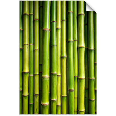 Poster autocollant Bambou vert plantes 20x30
