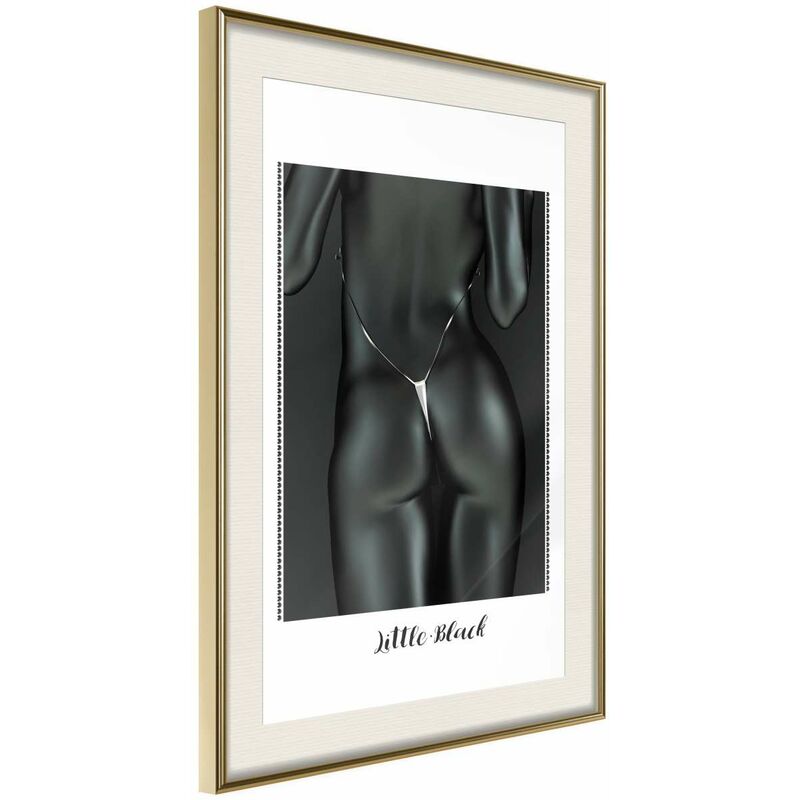 

Rtgs - Póster - Beauty of the Female Body Medidas 40X60