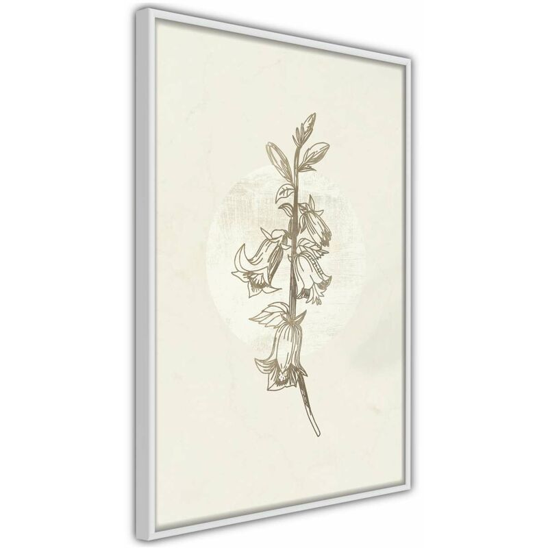 

Rtgs - Póster - Beige Campanula Medidas 20X30