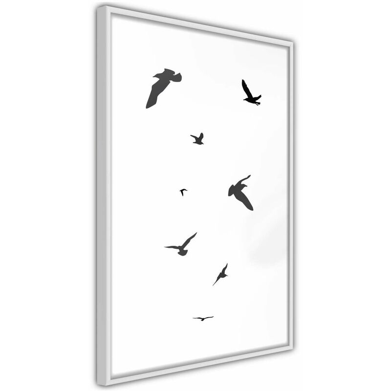 

Rtgs - Póster - Birds Medidas 30X45