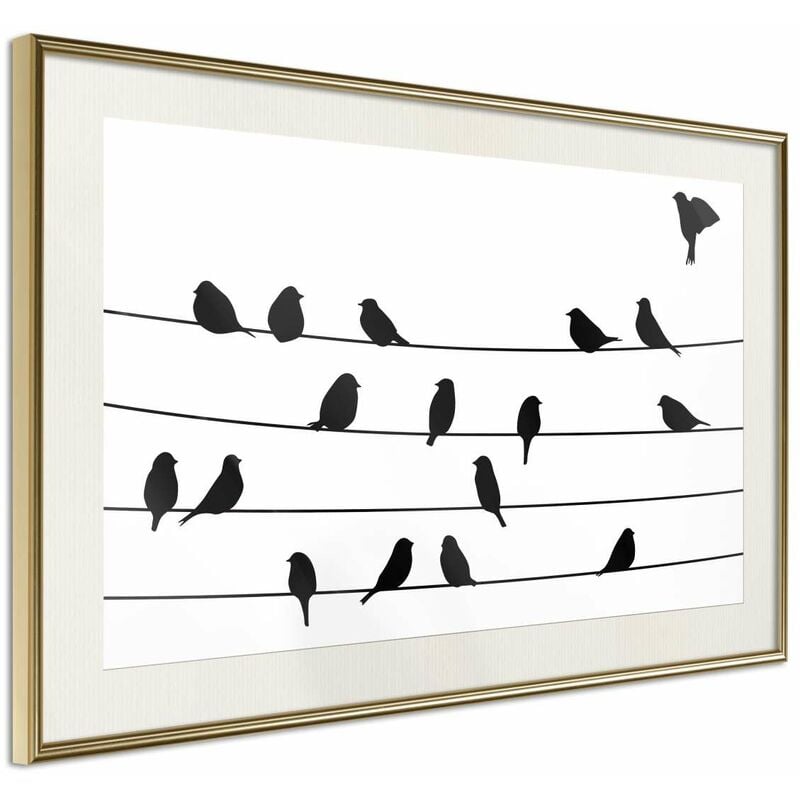 

Rtgs - Póster - Birds Council Meeting Medidas 60X40