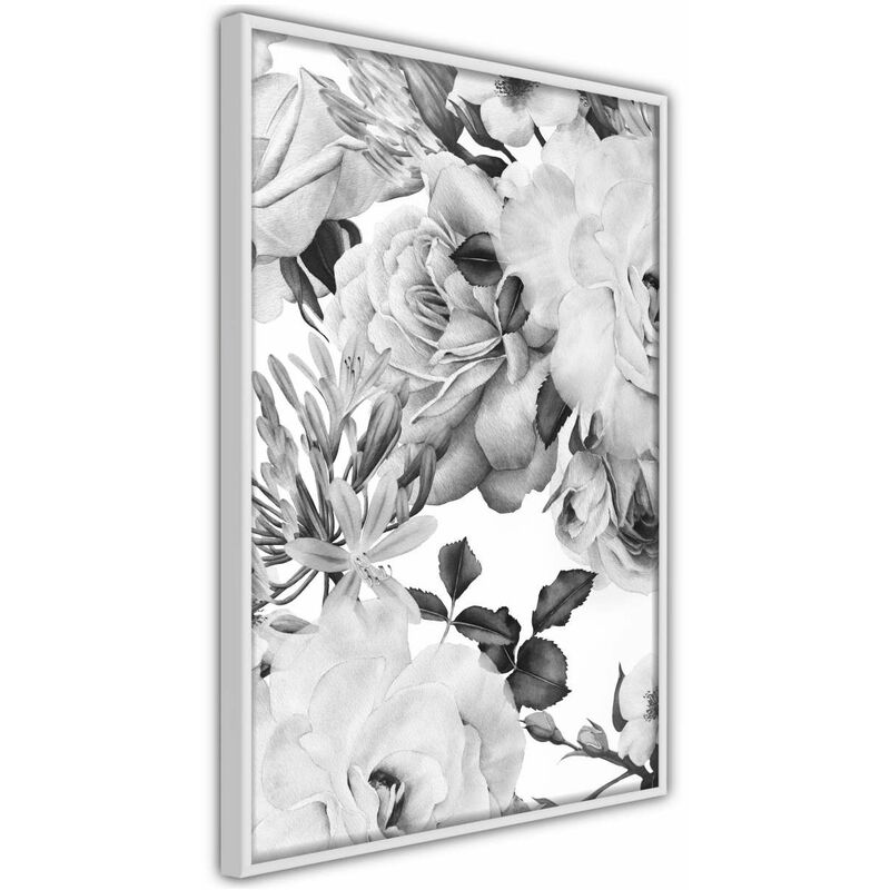 

Rtgs - Póster - Black and White Nature Medidas 40X60