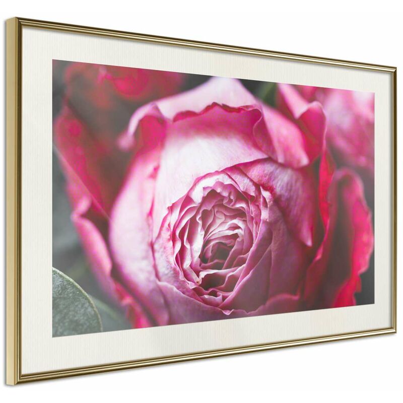 

Póster - Blooming Rose Medidas 30X20