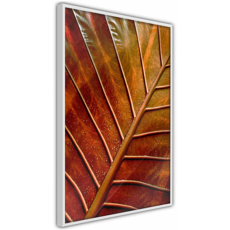 

Rtgs - Póster - Bronze Leaf Medidas 40X60