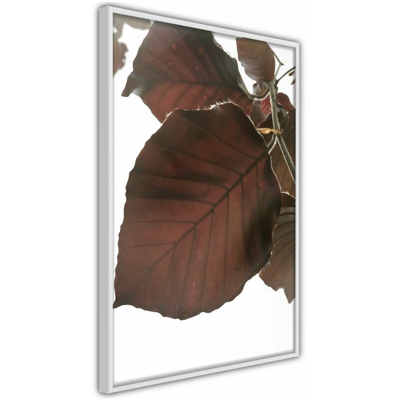 

Rtgs - Póster - Burgundy Tilia Leaf Medidas 30X45