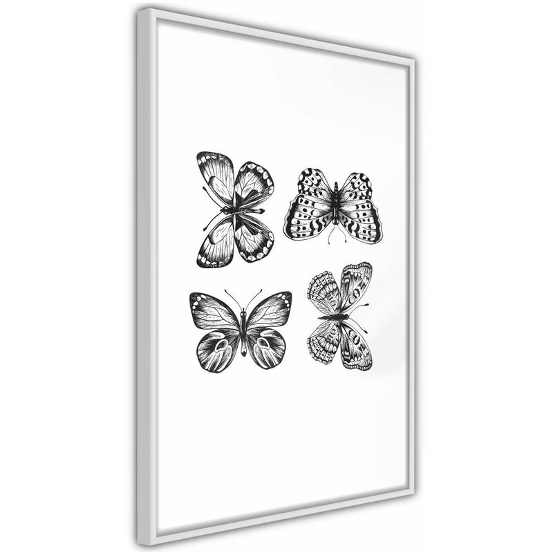 

Rtgs - Póster - Butterfly Collection III Medidas 30X45