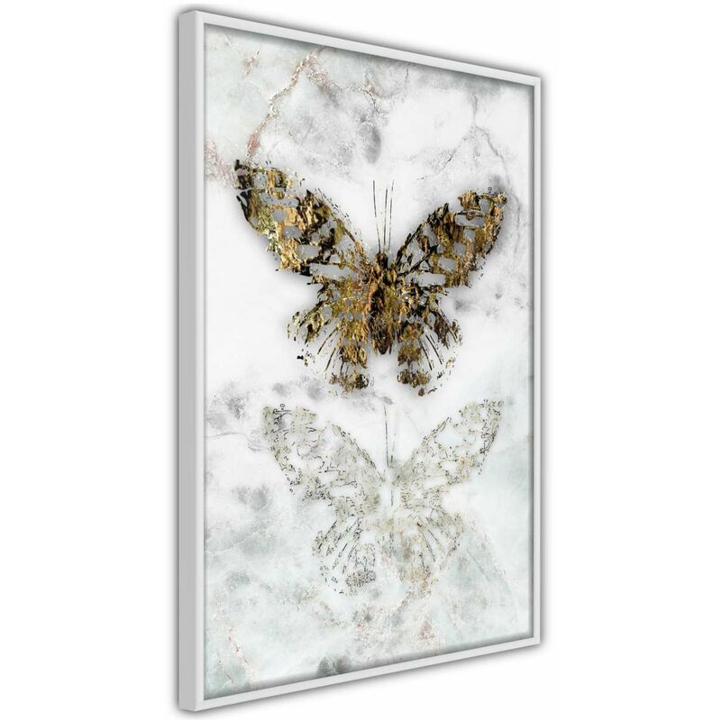 

Rtgs - Póster - Butterfly Fossils Medidas 40X60