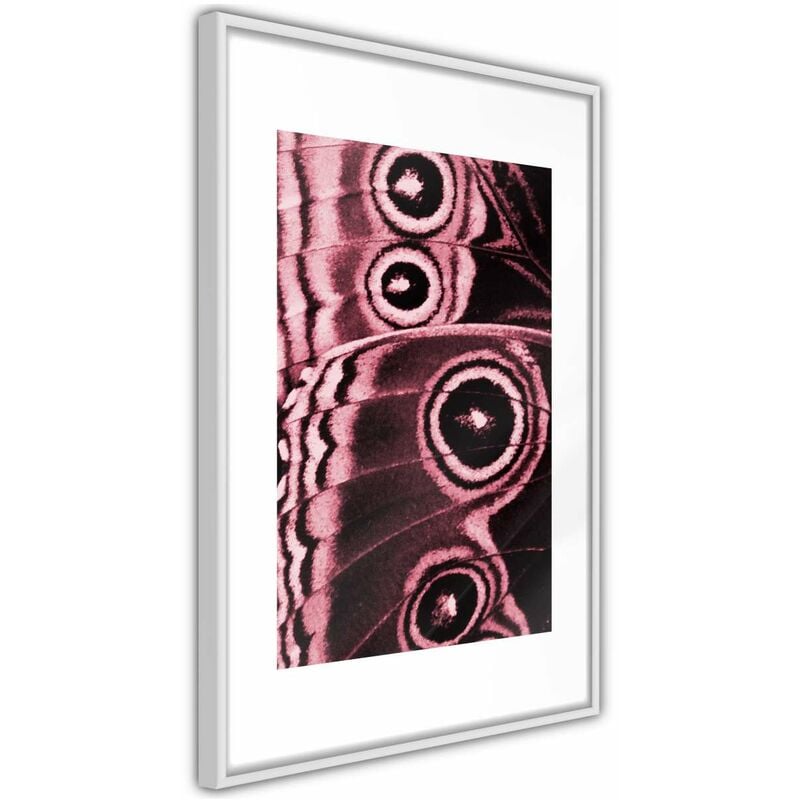 

Rtgs - Póster - Butterfly Wings Medidas 30X45