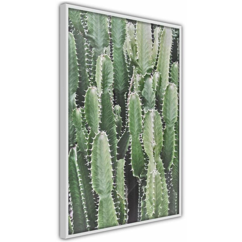 

Rtgs - Póster - Cactus Plantation Medidas 40X60