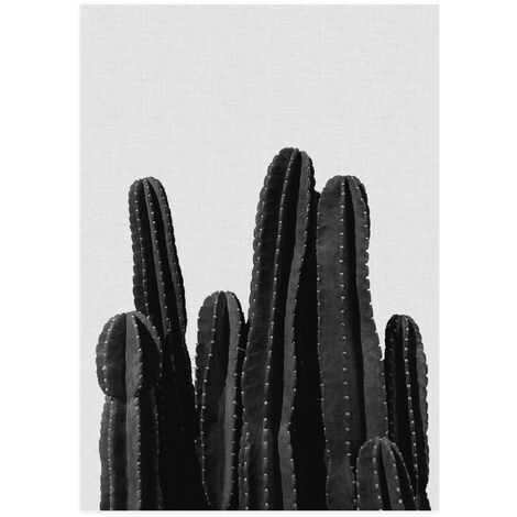 Poster Cactus