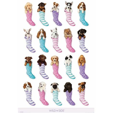 Poster chiots et bottes de pluie 91.5 cm