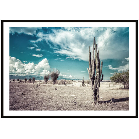 Póster con marco 33x43 cm Cactus P2245