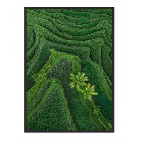 Póster con marco 43x33 cm Bali P1146
