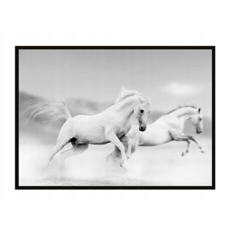 Póster con marco 43x33 cm Caballos P901
