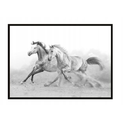 PÓSTER CON MARCO 43x33 cm Caballos P904