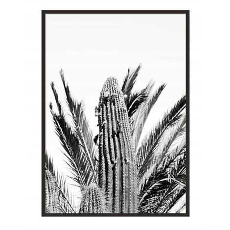 Póster con marco 43x33 cm Cactus P686