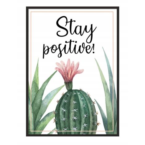 Póster con marco 43x33 cm Cactus P719