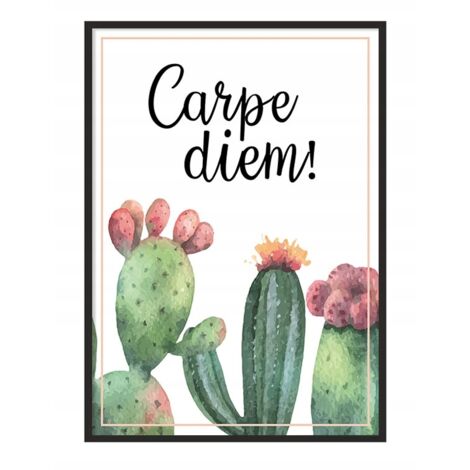 Póster con marco 43x33 cm Cactus P720