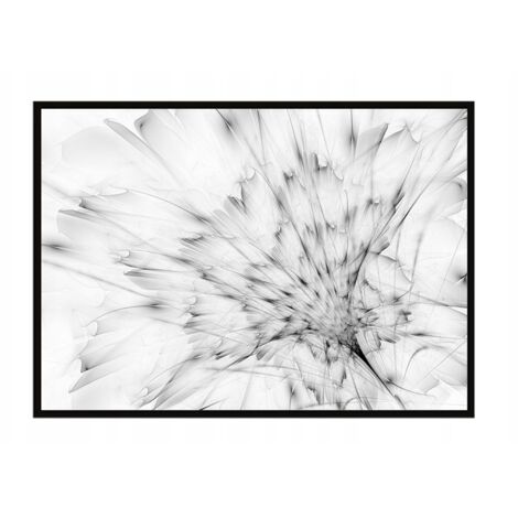 Póster con marco 43x33 cm Diente de león P930