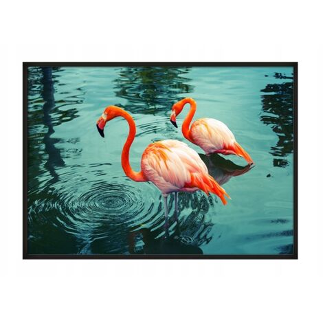 Póster con marco 43x33 cm Flamingo P666