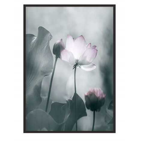 Póster con marco 43x33 cm Flor P1229