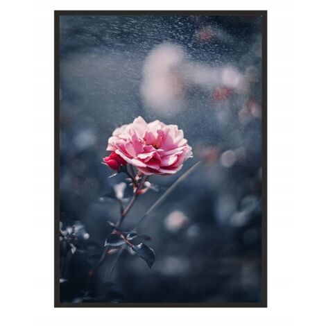 Póster con marco 43x33 cm Flor P1237