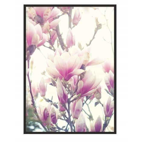 Póster con marco 43x33 cm Flores P1235