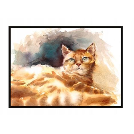 Póster con marco 43x33 cm Gato P1204