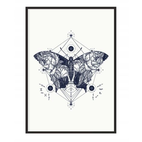 Póster con marco 43x33 cm Mariposa P1156