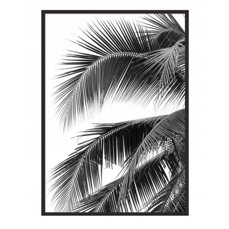 Póster con marco 43x33 cm Palm P689