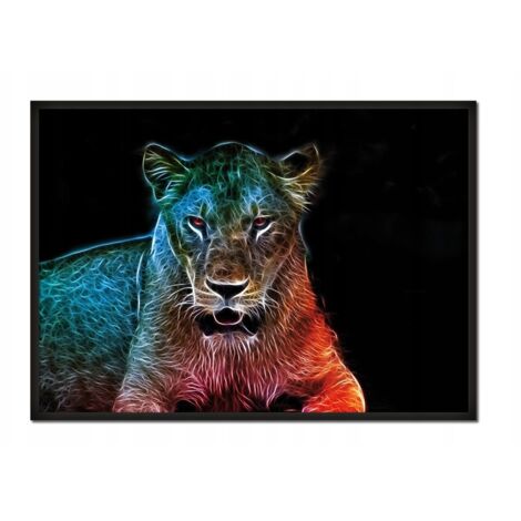 Póster con marco 43x33 cm Tigre P664
