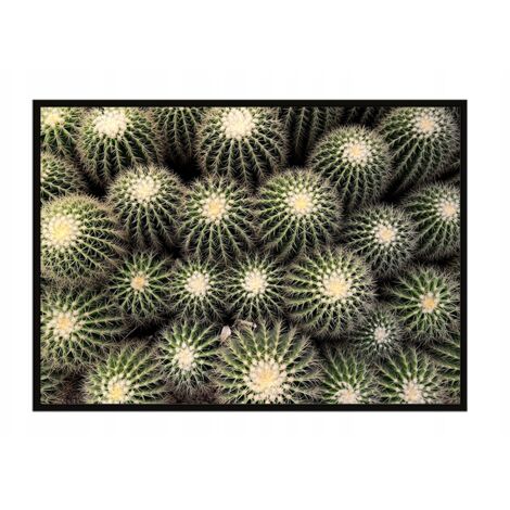 Póster con marco 53x73 cm Cactus P1058
