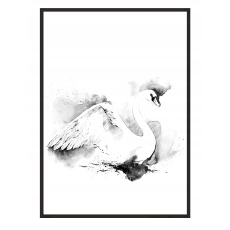Póster con marco 53x73 cm Cisne P748
