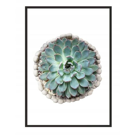Póster con marco 53x73 cm Flor P1033