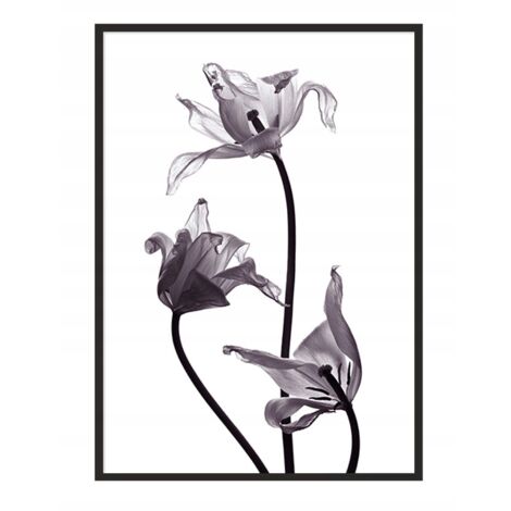 Póster con marco 53x73 cm Flor P1037